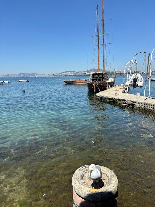 Fotoğraf 18