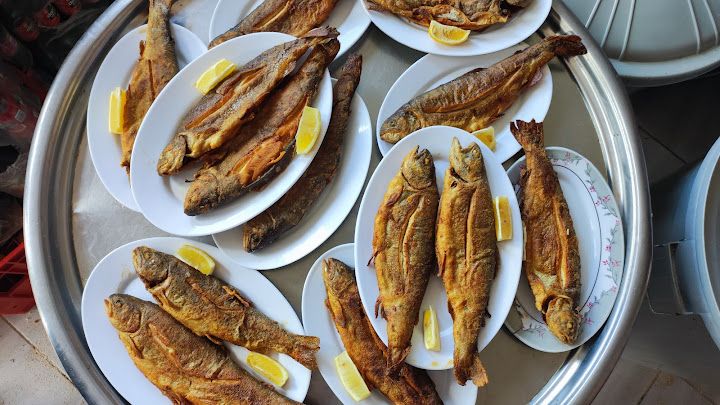 Hamurkesen Alabalık Tesisi