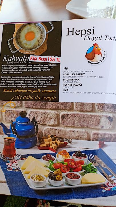 Fotoğraf 23