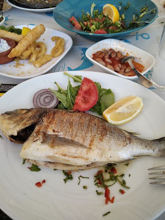 Fotoğraf 35