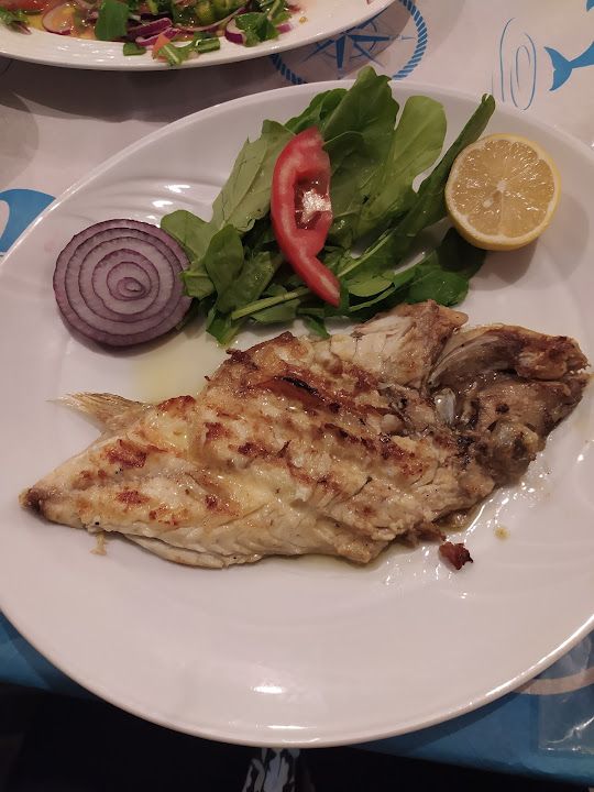 Fotoğraf 13