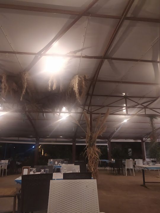 Fotoğraf 12