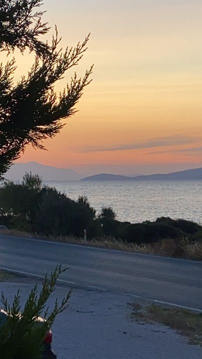 Fotoğraf 17
