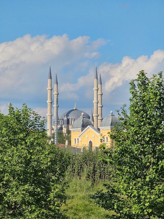 Yorum fotoğrafı 4