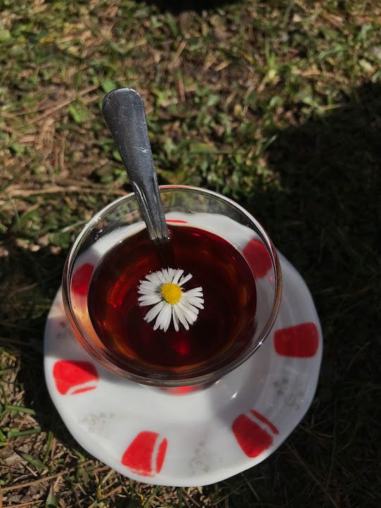 Fotoğraf 29