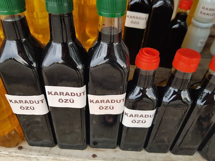 Fotoğraf 10