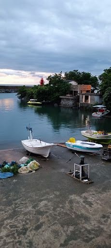 Fotoğraf 13