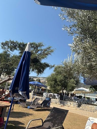 Fotoğraf 15