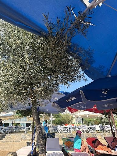 Fotoğraf 16