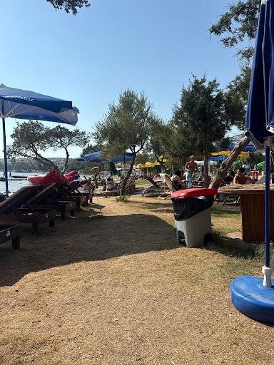 Fotoğraf 17