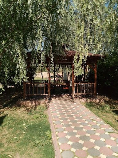 Yorum fotoğrafı 8