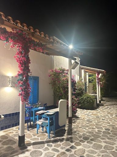 Fotoğraf 30