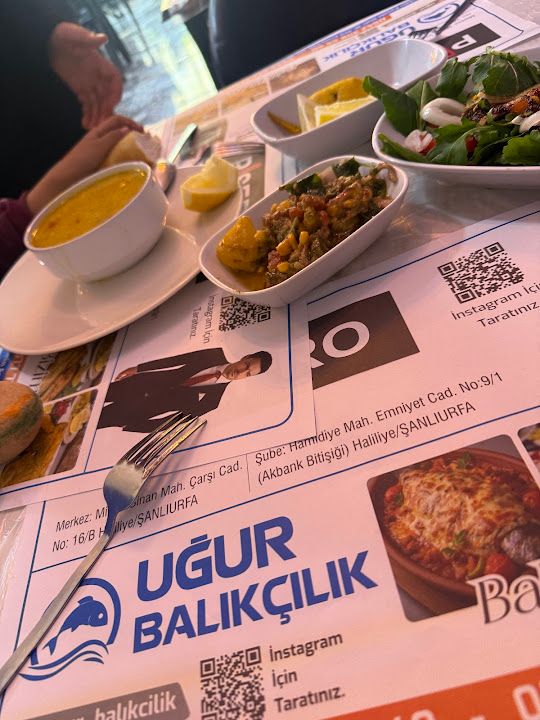 Fotoğraf 26