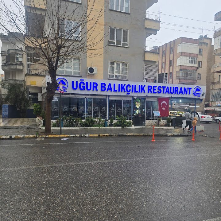 Fotoğraf 25