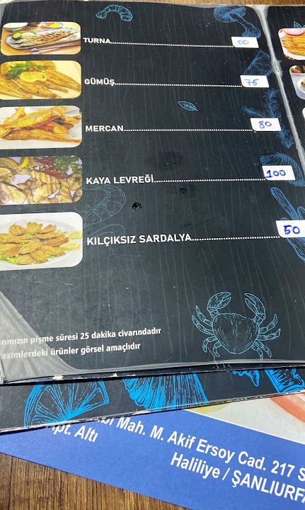 Fotoğraf 31