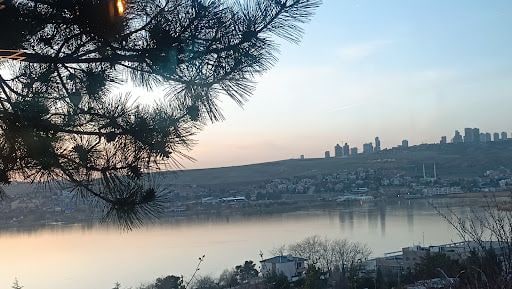 Yorum fotoğrafı 5
