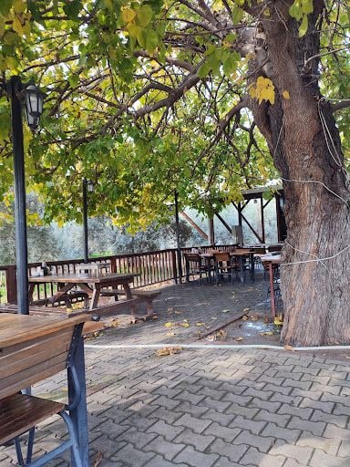Yorum fotoğrafı 3