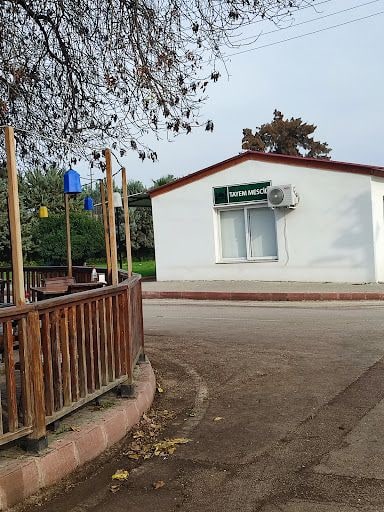 Yorum fotoğrafı 6