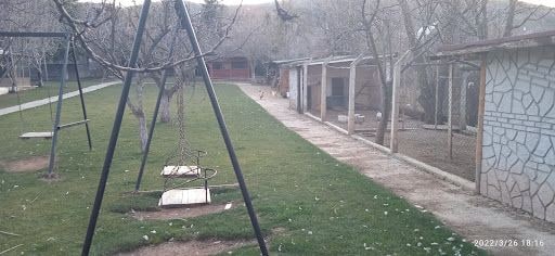 Yorum fotoğrafı 5