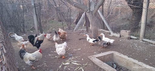 Yorum fotoğrafı 8