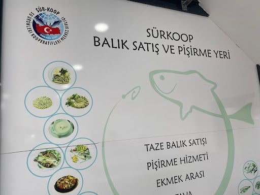 Fotoğraf 24