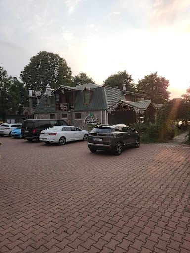 Fotoğraf 12