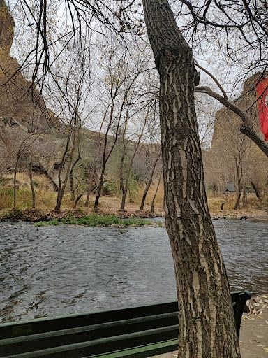 Yorum fotoğrafı 4