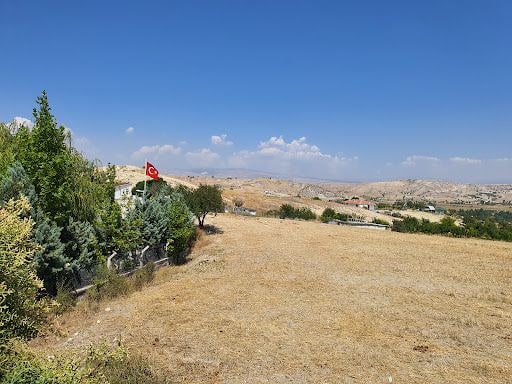Yorum fotoğrafı 7