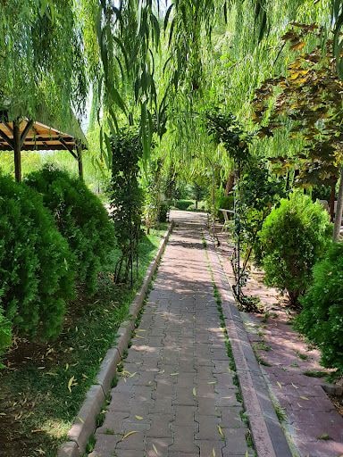 Yorum fotoğrafı 9