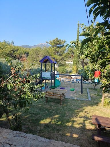 Fotoğraf 10