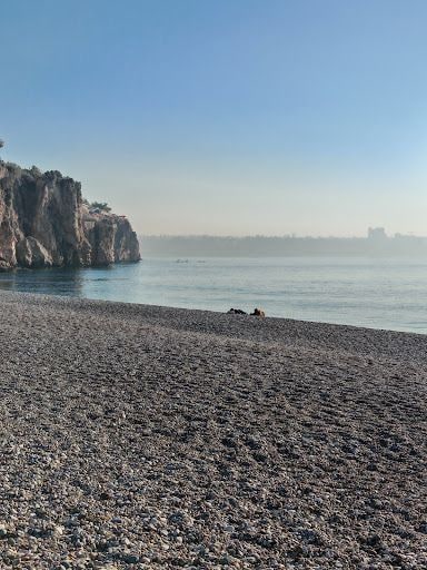 Yorum fotoğrafı 6