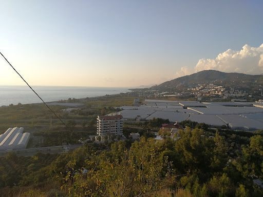 Yorum fotoğrafı 2