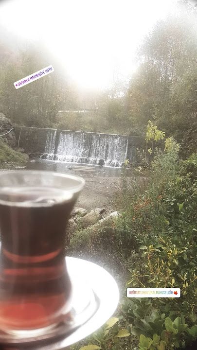 Fotoğraf 32