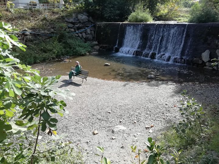 Yorum fotoğrafı 3