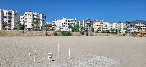 Yorum fotoğrafı 6