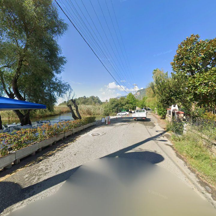 Fotoğraf 12