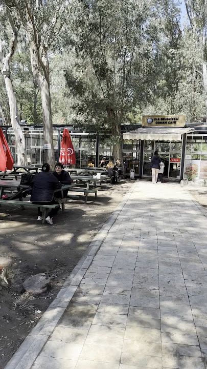 Yorum fotoğrafı 4