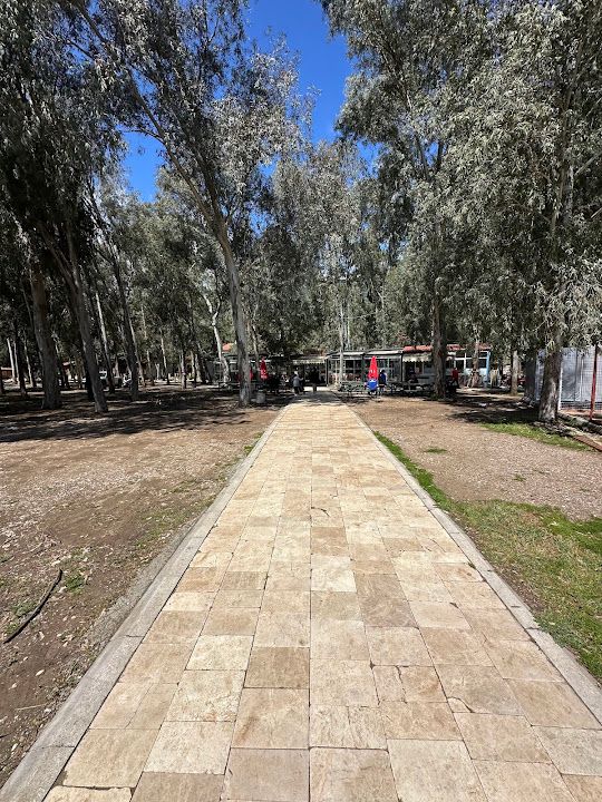 Yorum fotoğrafı 3