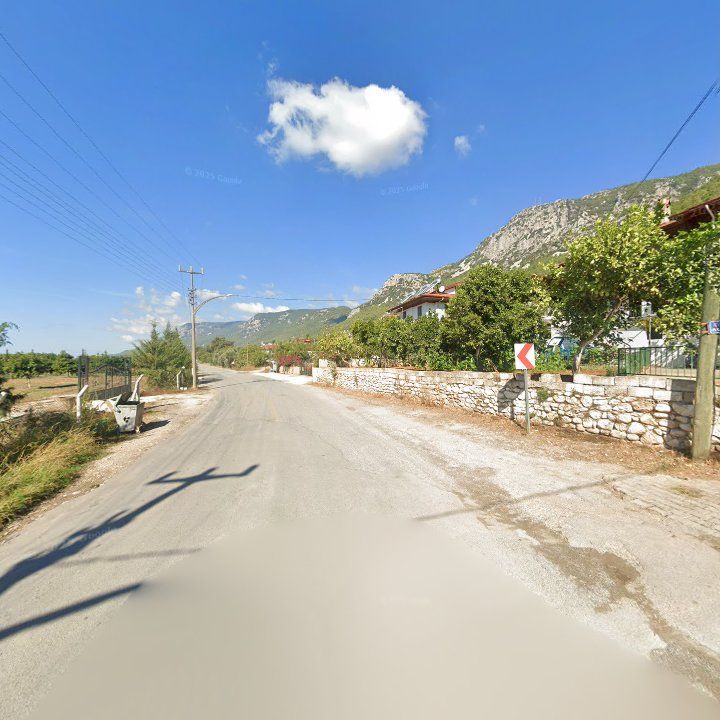 Fotoğraf 10