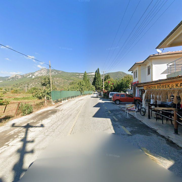 Fotoğraf 11