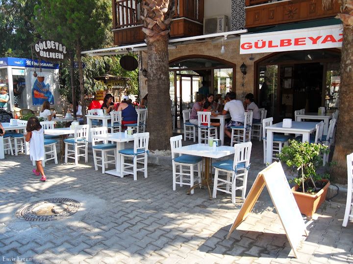 Gülbeyaz Balık