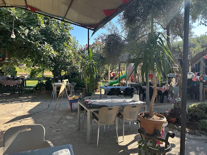 Organik Garden