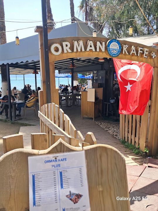 Orman Cafe plus