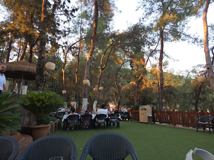 Pine Garden ( Ula )