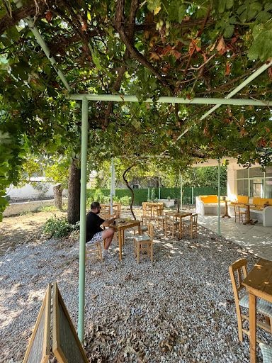 Fotoğraf 19