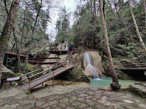 Yorum fotoğrafı 5