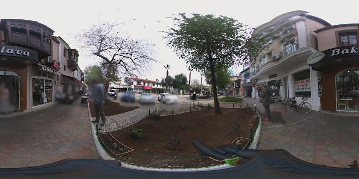 Fotoğraf 37