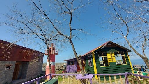 Fotoğraf 17