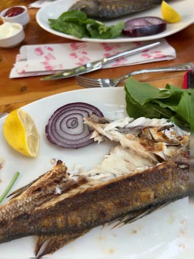 Yorum fotoğrafı 7