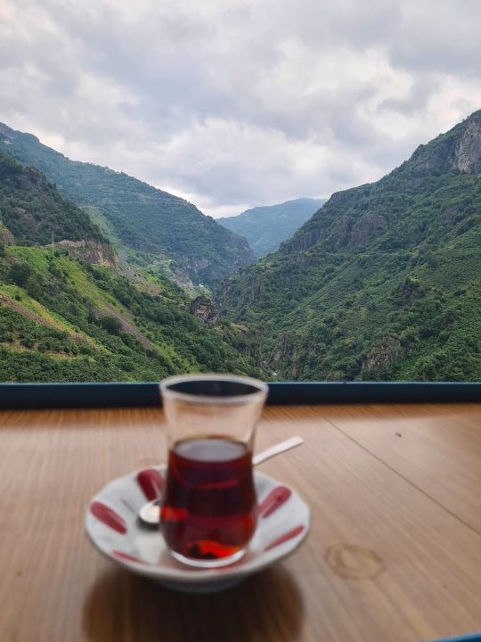 Dereyolu Piknik